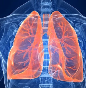RESPIRATORY PHYSIOTHERAPY